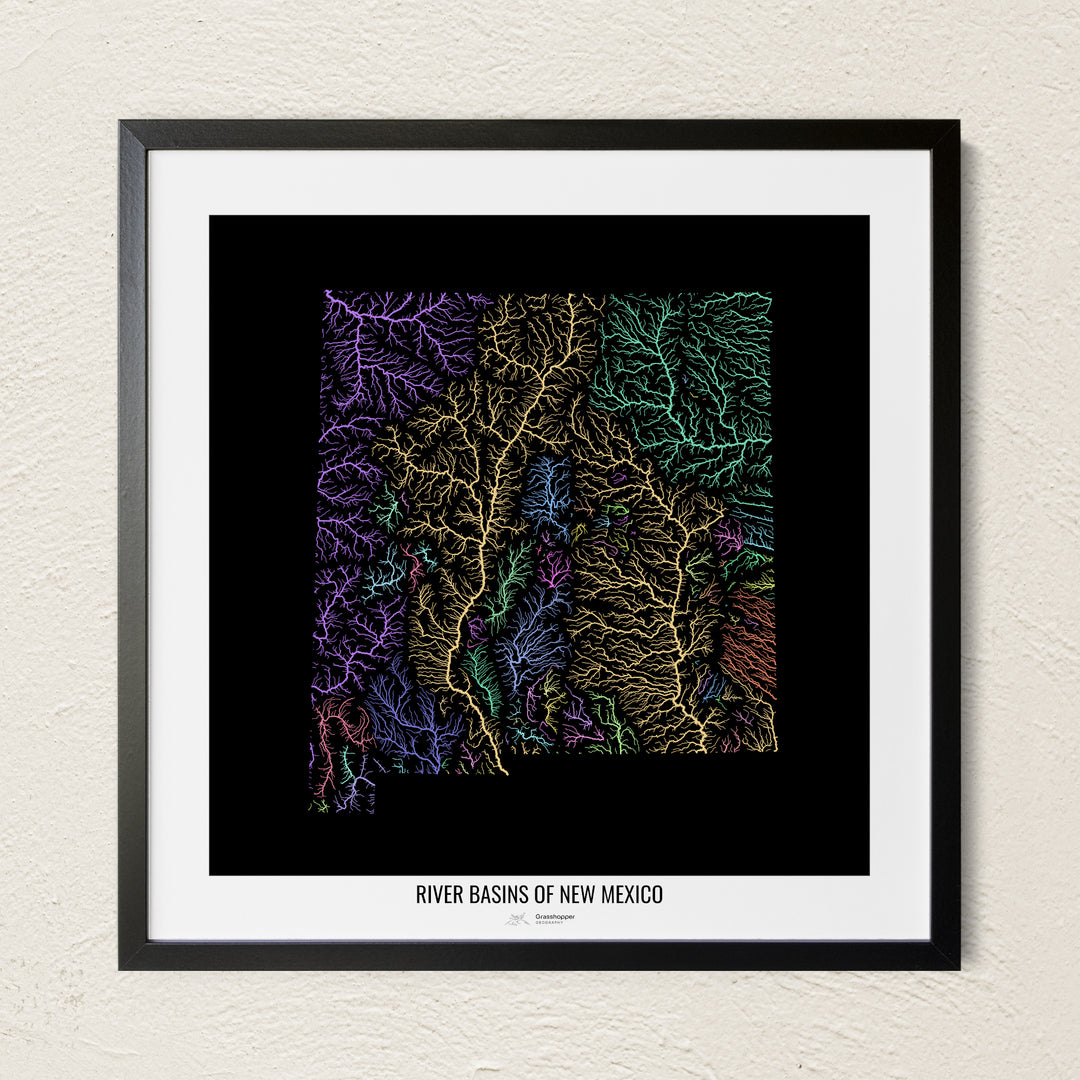 A colorful Grasshopper Geography river map on a light wall. The premium fine art poster is in a black frame with a white border. The name of the country, continent or region is printed under the image.