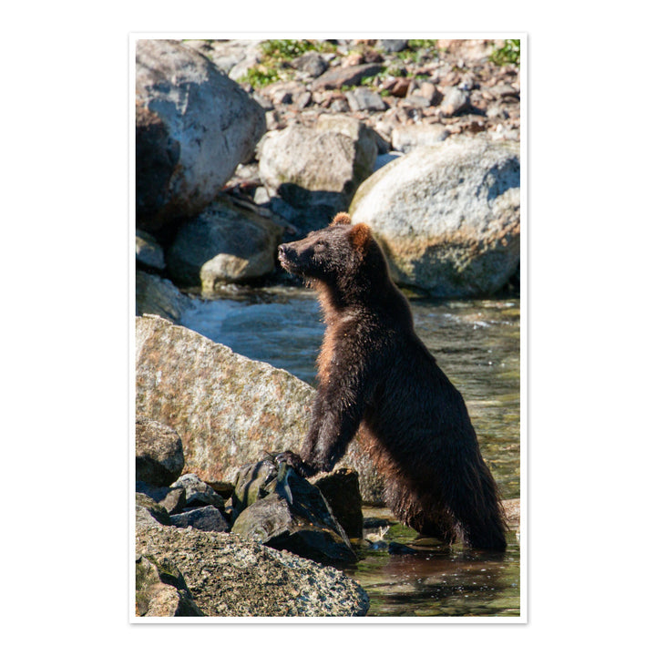 Nice catch - Hahnemühle Photo Rag Print