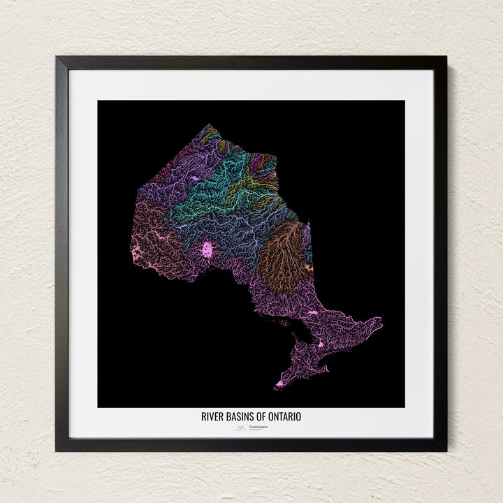 A colorful Grasshopper Geography river map on a light wall. The premium fine art poster is in a black frame with a white border. The name of the country, continent or region is printed under the image.