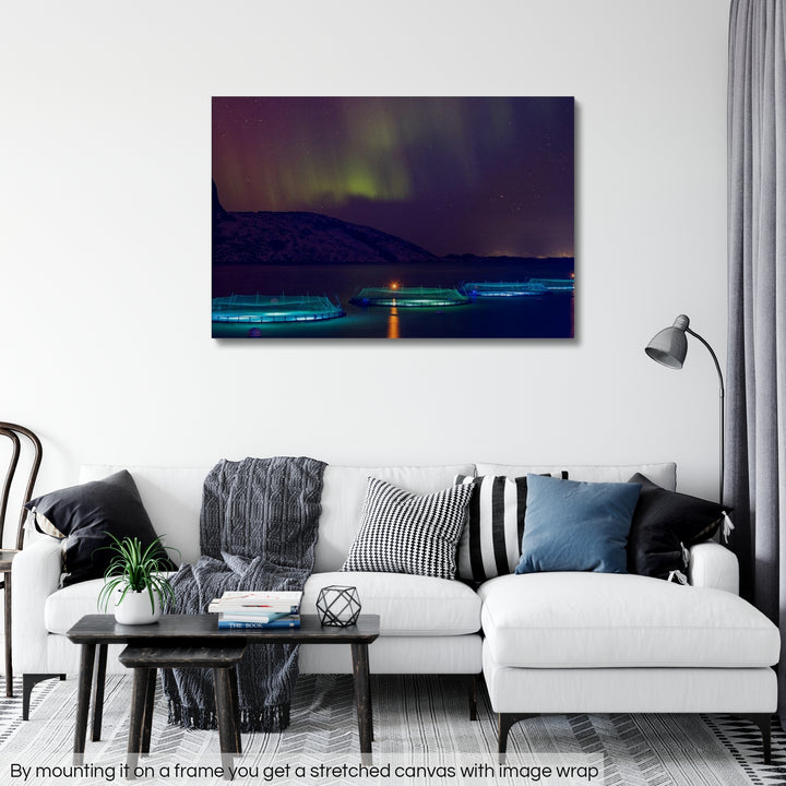 Canetas de peixe com aurora V - Rolled Canvas