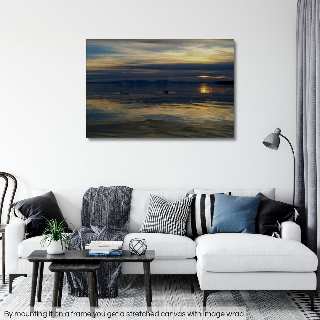 Sunset with whales - Rolled Canvas