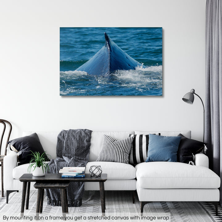 Texturen – gerollte Leinwand