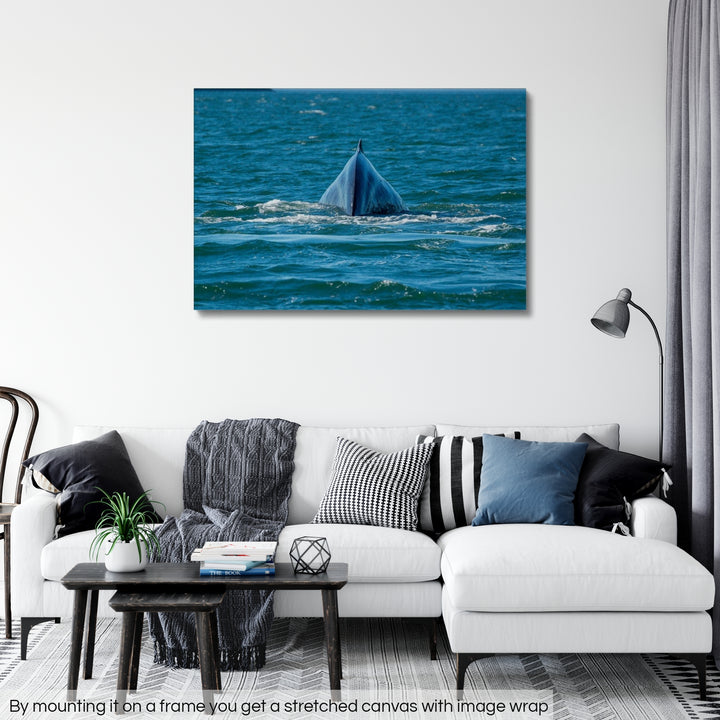 Deep Dive I – Gerollte Leinwand