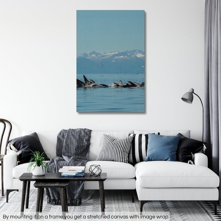 Humpback whales bubblenet feeding XIV - Rolled Canvas
