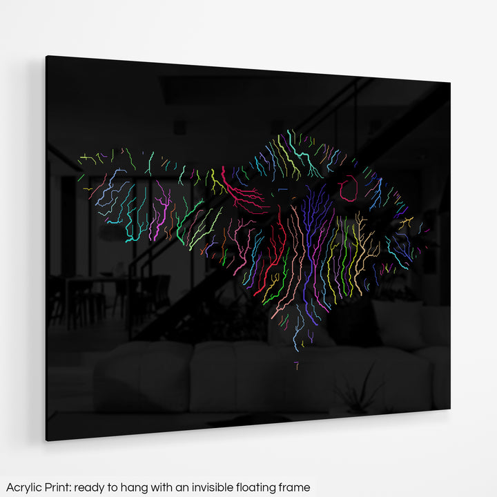 Bali - River basin map, rainbow colours - Wall Art