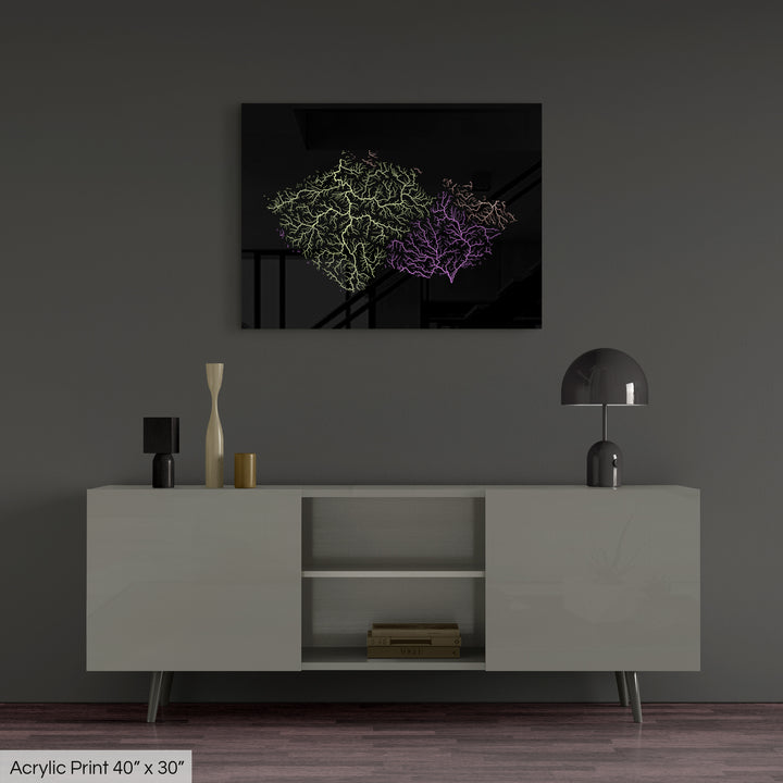 Czechia - River basin map, pastel colours - Wall Art