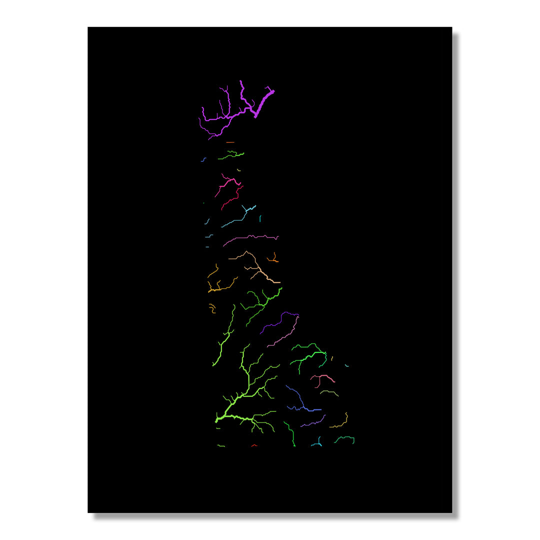 Delaware - River basin map, rainbow colours - Wall Art