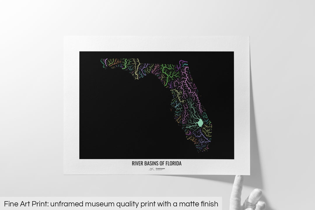 Florida - River basin map, pastel colours - Wall Art
