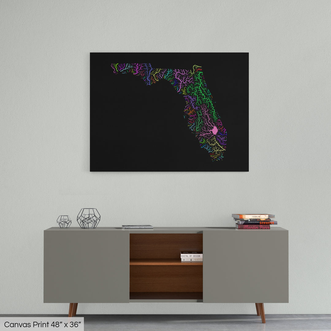 Florida - River basin map, rainbow colours - Wall Art