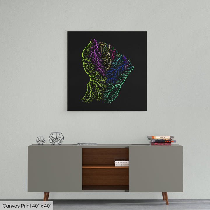 French Guiana - River basin map, rainbow colours - Wall Art