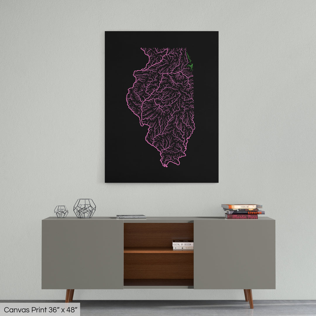 Illinois - River basin map, rainbow colours - Wall Art