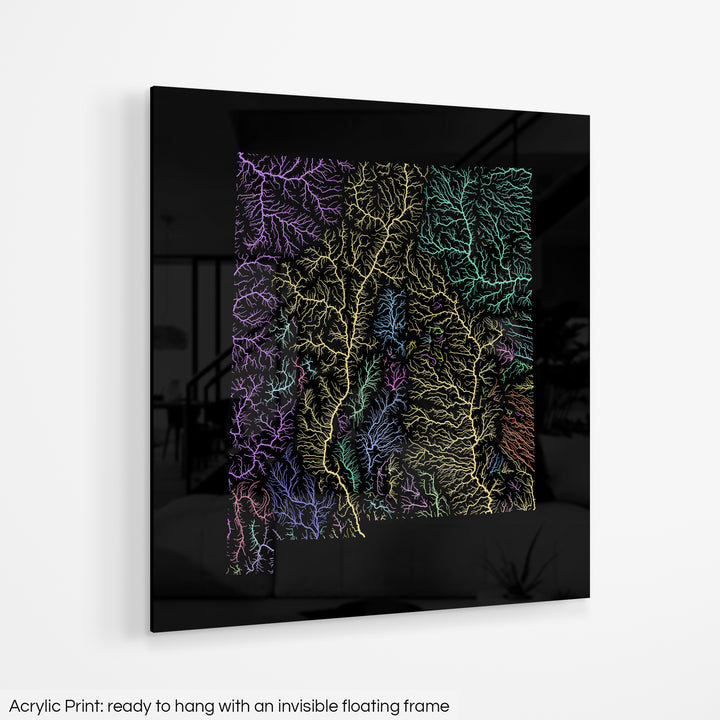 New Mexico - River basin map, pastel colours - Wall Art