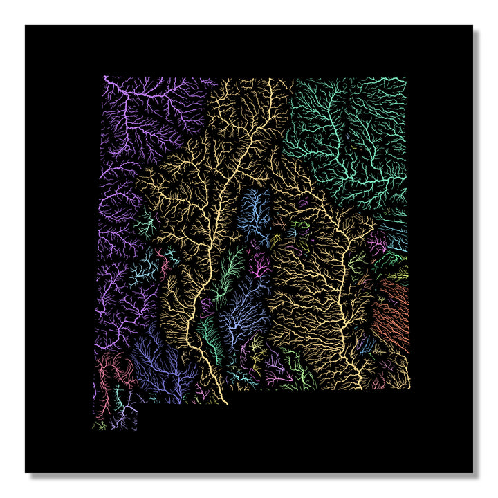 New Mexico - River basin map, pastel colours - Wall Art
