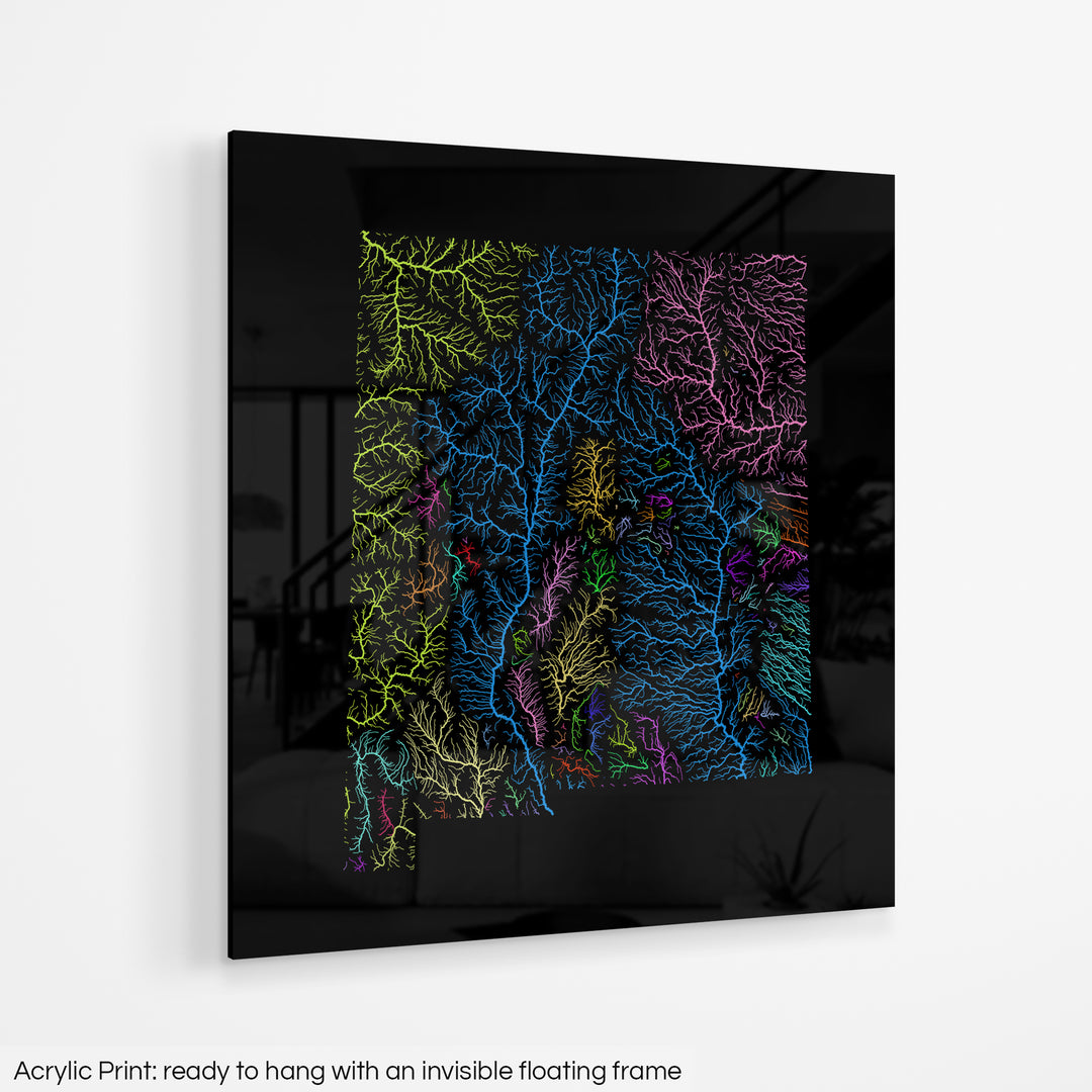 New Mexico - River basin map, rainbow colours - Wall Art