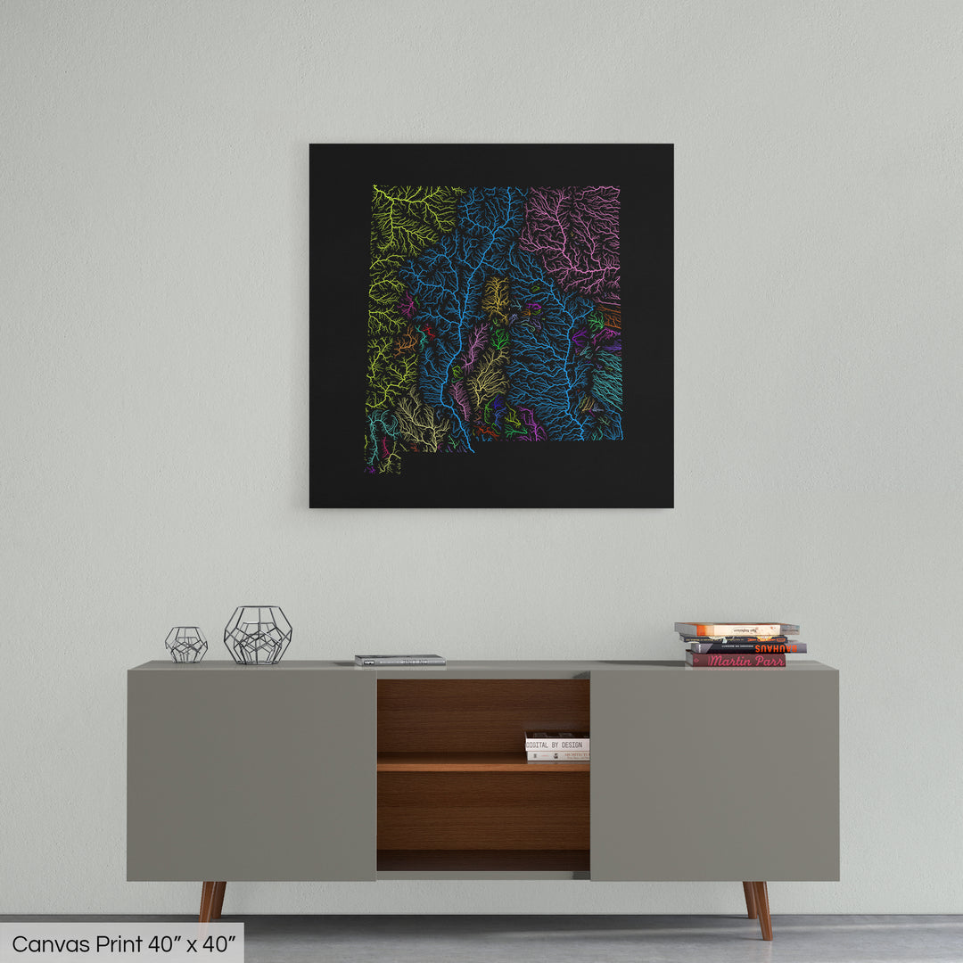 New Mexico - River basin map, rainbow colours - Wall Art