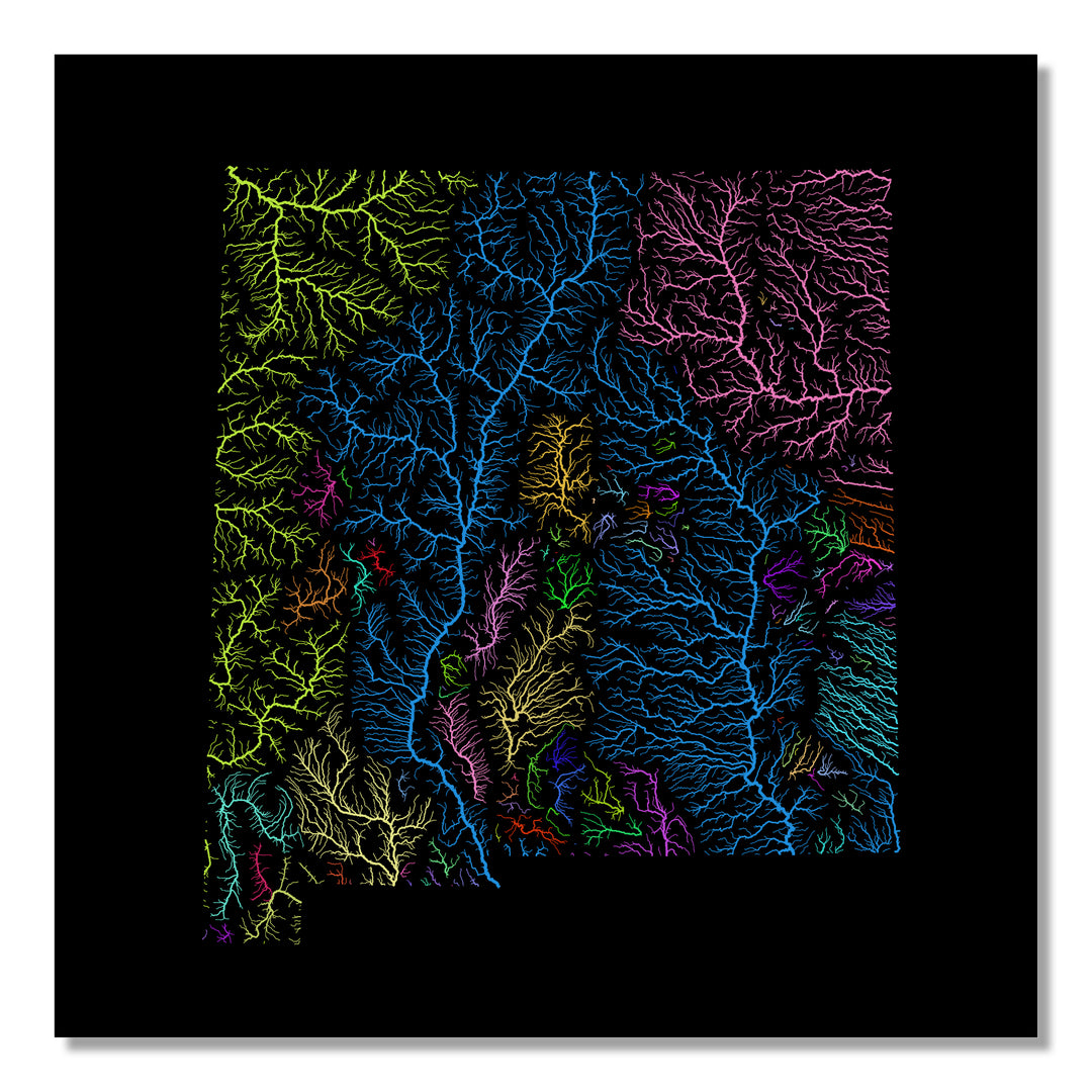 New Mexico - River basin map, rainbow colours - Wall Art