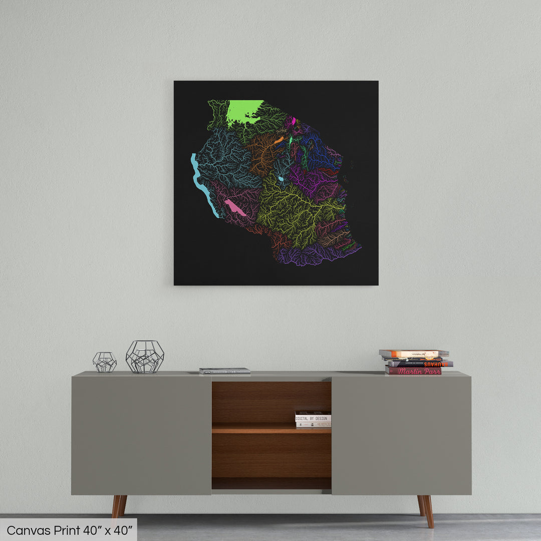 Tanzania - River basin map, rainbow colours - Wall Art