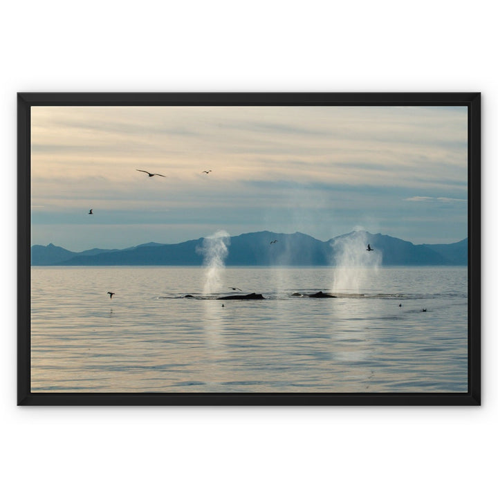 Silhouettes - Framed Canvas