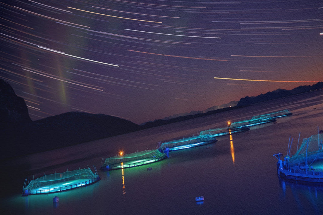 Star trails with aurora above the fish pens III - Hahnemühle Photo Rag Print