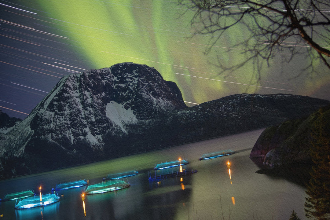 Rastros de estrelas com aurora acima dos viveiros de peixes IV - Hahnemühle Photo Rag Print
