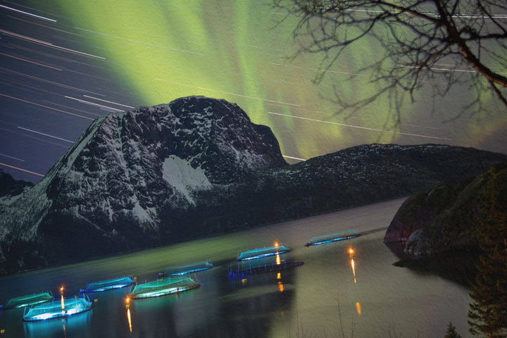 Rastros de estrelas com aurora acima dos viveiros de peixes IV - Hahnemühle Photo Rag Print