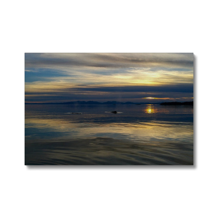 Sonnenuntergang mit Walen - Leinwand