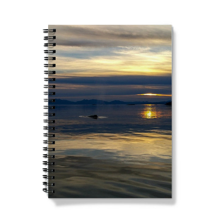 Sunset with whales - Notebook