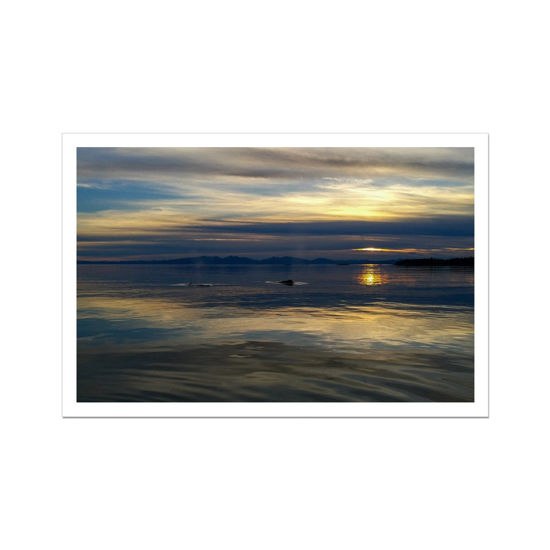 Coucher de soleil avec des baleines - Toile roulée