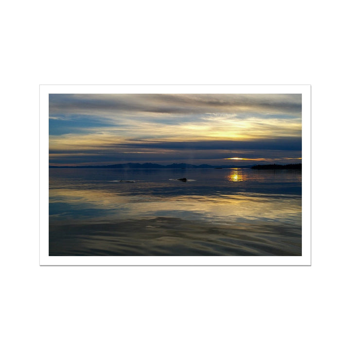Coucher de soleil avec des baleines - Toile roulée