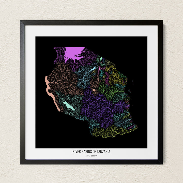 A colorful Grasshopper Geography river map on a light wall. The premium fine art poster is in a black frame with a white border. The name of the country, continent or region is printed under the image.