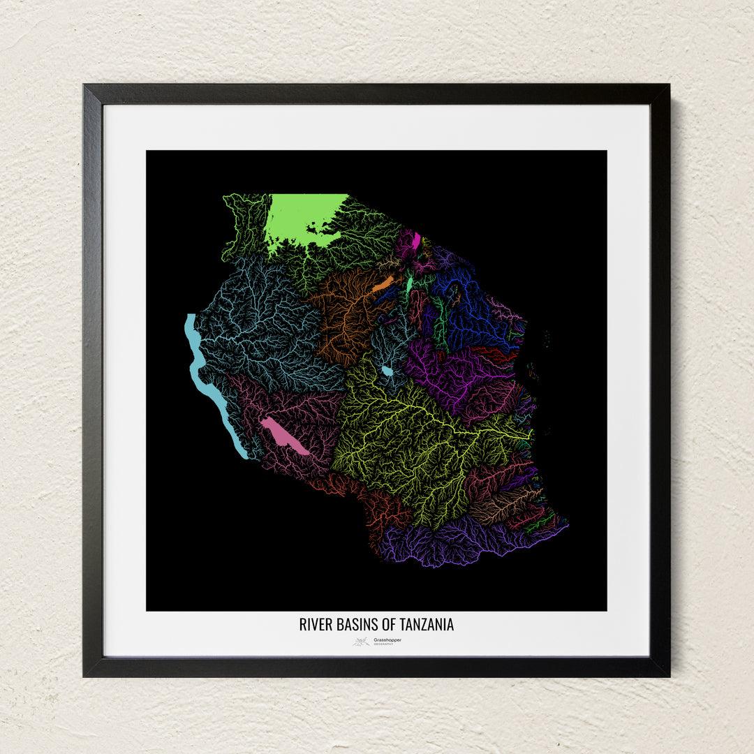 A colorful Grasshopper Geography river map on a light wall. The premium fine art poster is in a black frame with a white border. The name of the country, continent or region is printed under the image.
