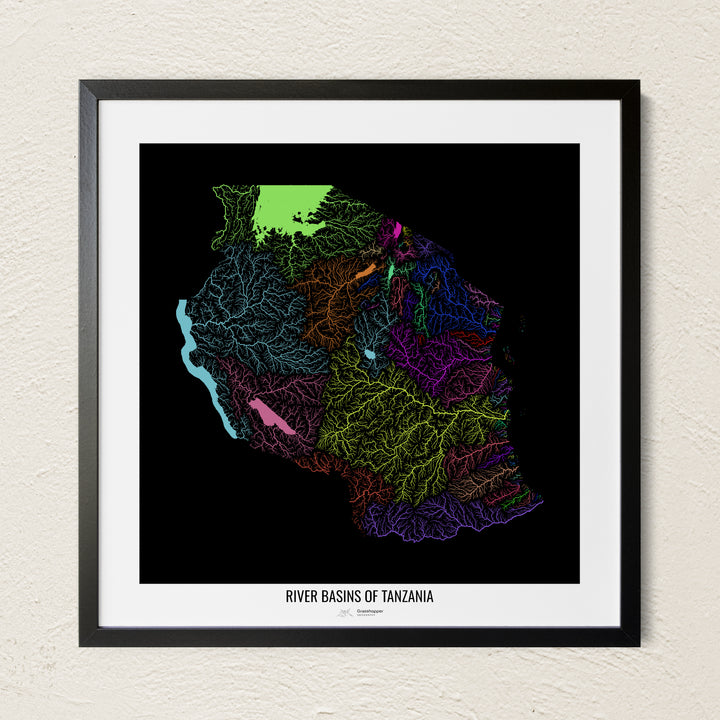 A colorful Grasshopper Geography river map on a light wall. The premium fine art poster is in a black frame with a white border. The name of the country, continent or region is printed under the image.