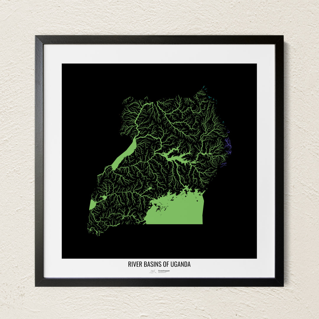 A colorful Grasshopper Geography river map on a light wall. The premium fine art poster is in a black frame with a white border. The name of the country, continent or region is printed under the image.