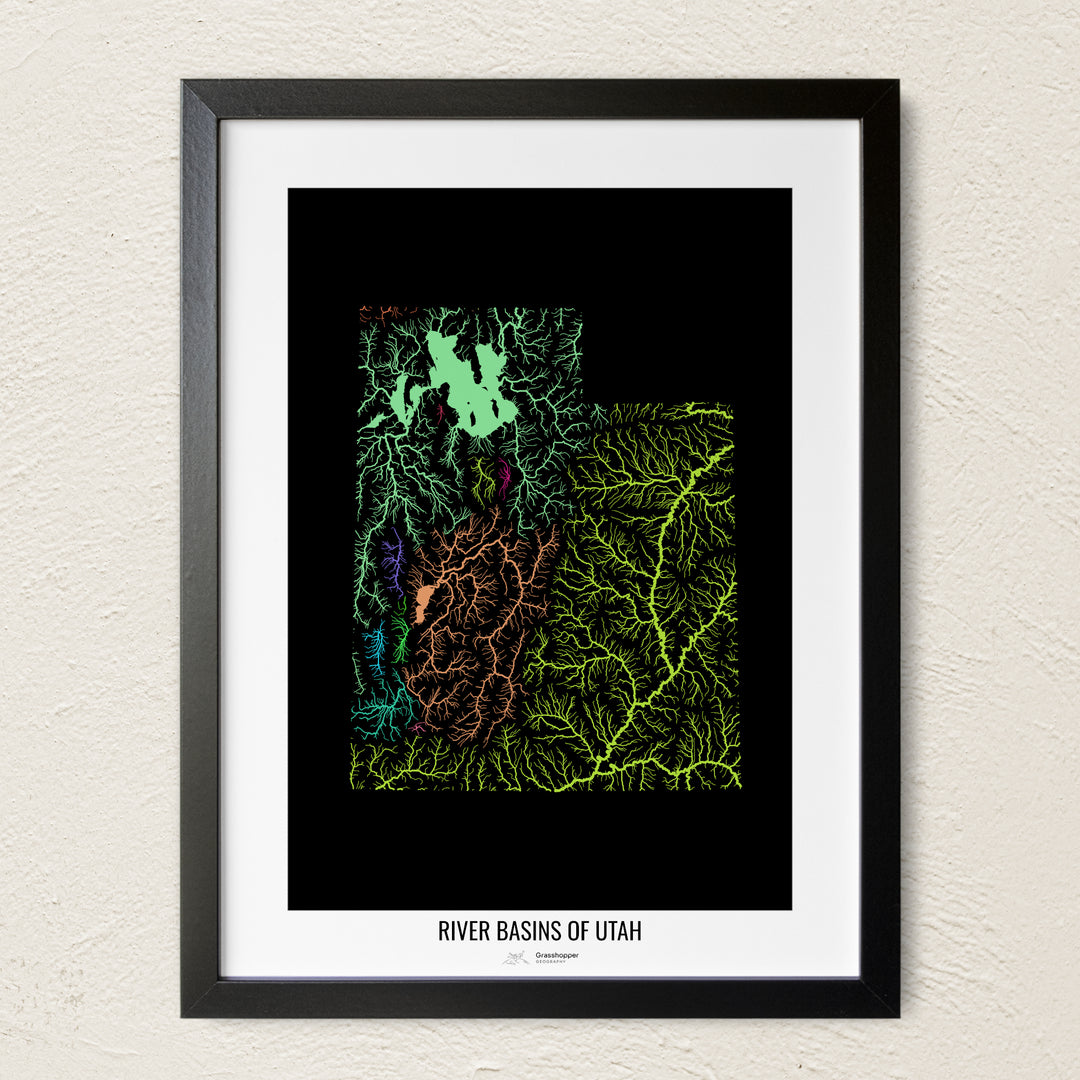 A colorful Grasshopper Geography river map on a light wall. The premium fine art poster is in a black frame with a white border. The name of the country, continent or region is printed under the image.