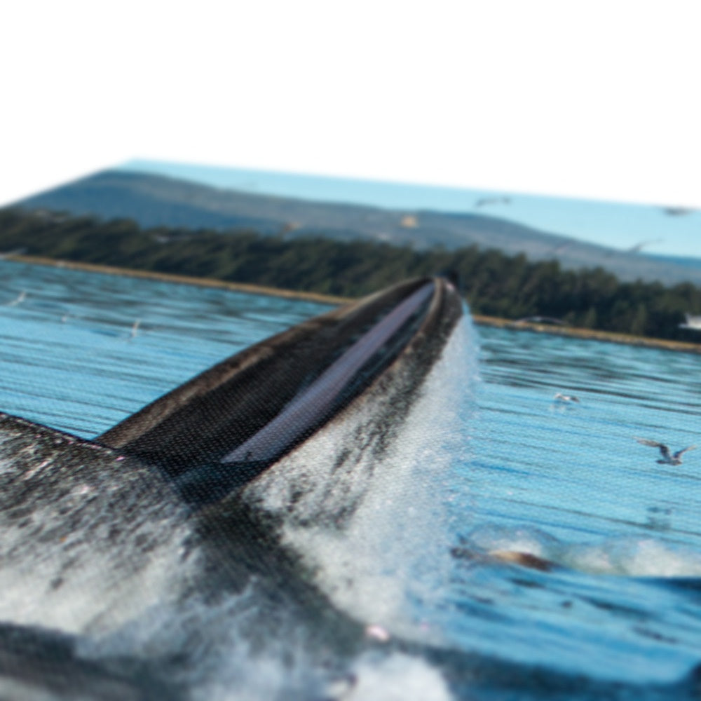 Humpback whales bubblenet feeding X - Canvas
