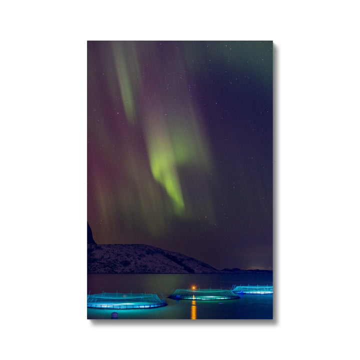 Fish pens with aurora III - Canvas