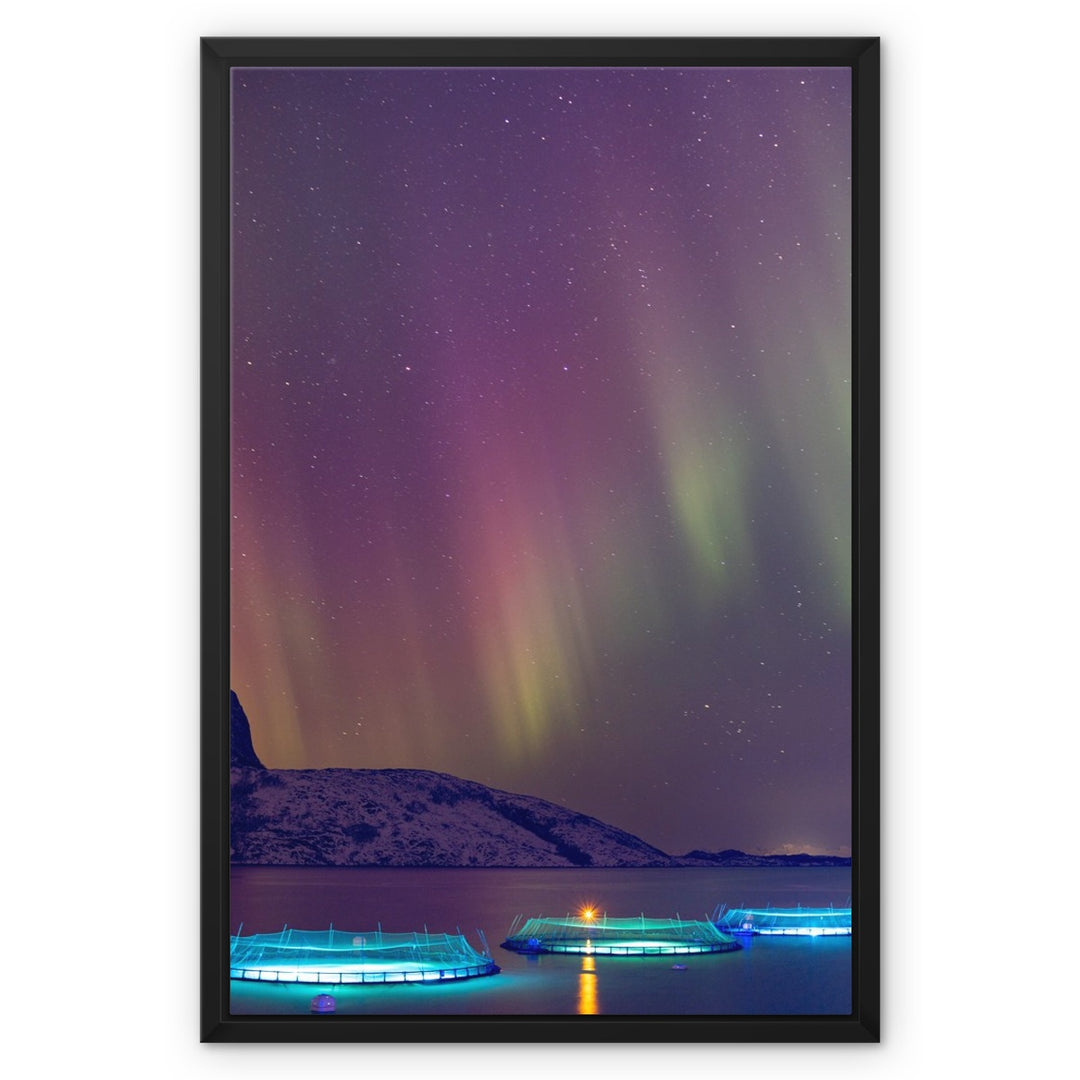 Fish pens with aurora IV - Framed Canvas