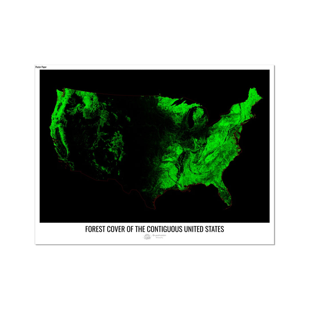 USA_Forests_Poster_Paper Wall Art Poster