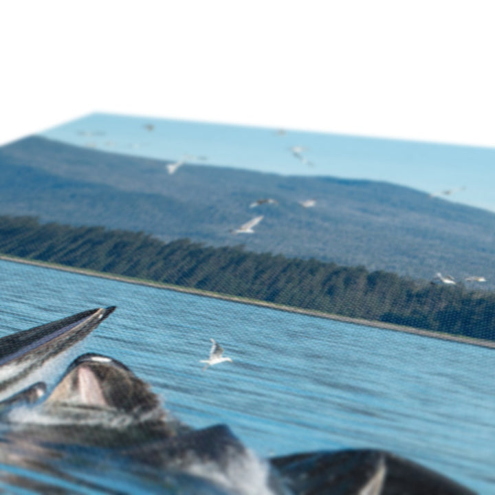 Humpback whales bubblenet feeding V - Canvas