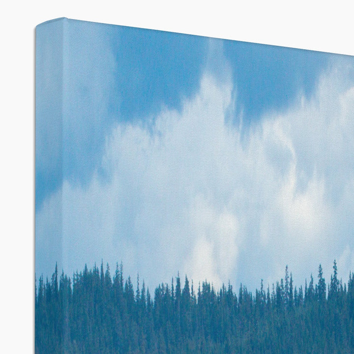 Humpback whales bubblenet feeding XVIII - Canvas