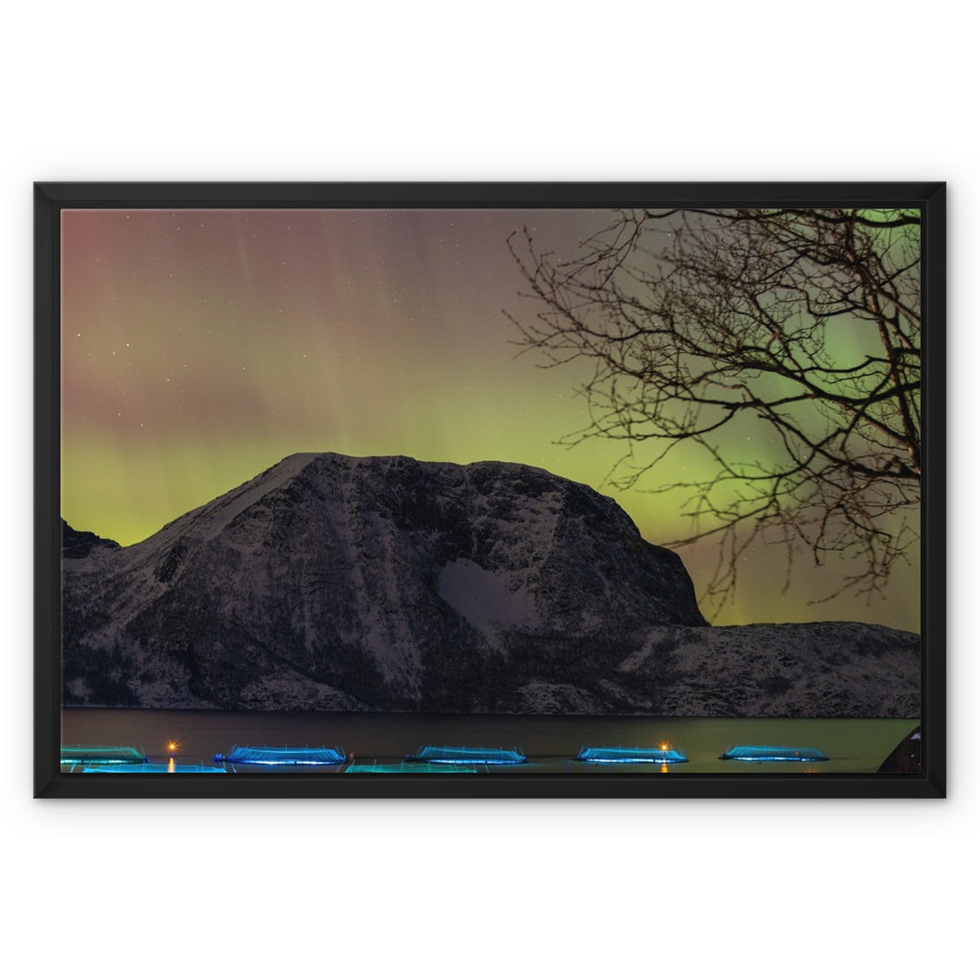 Fish pens across Lundøya with aurora I - Framed Canvas
