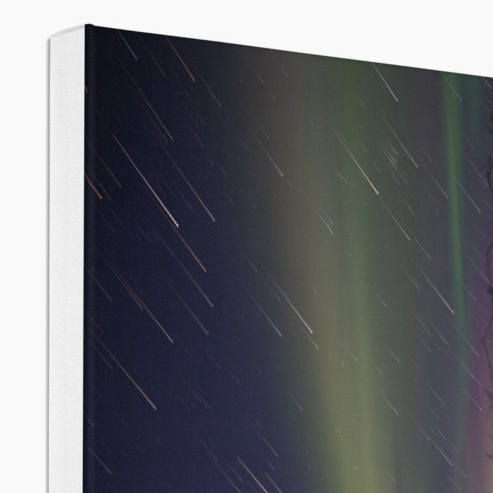 Star trails with aurora above the fish pens V - Canvas