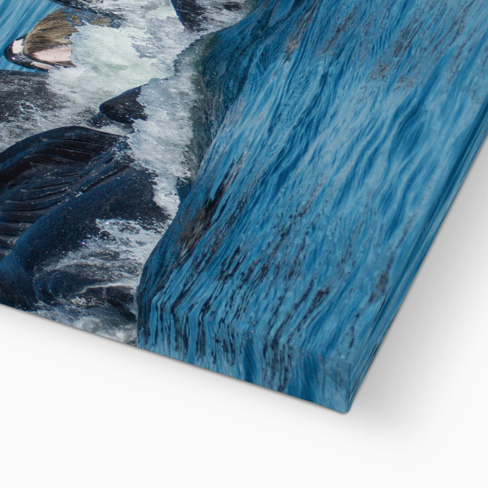 Buckelwale beim Fressen mit Blasennetzen III – Leinwand