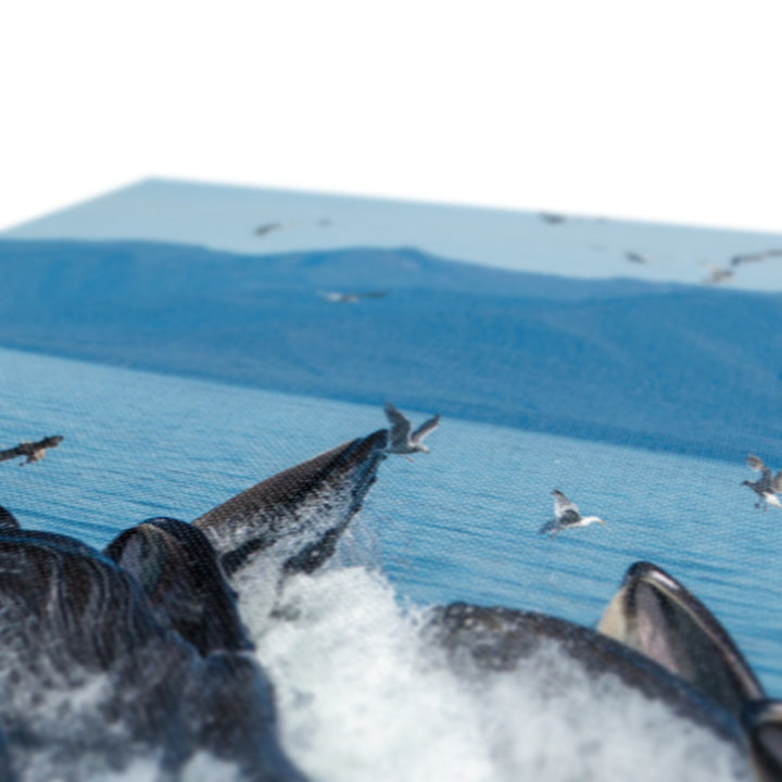 Alimentación con red de burbujas para ballenas jorobadas II - Lienzo