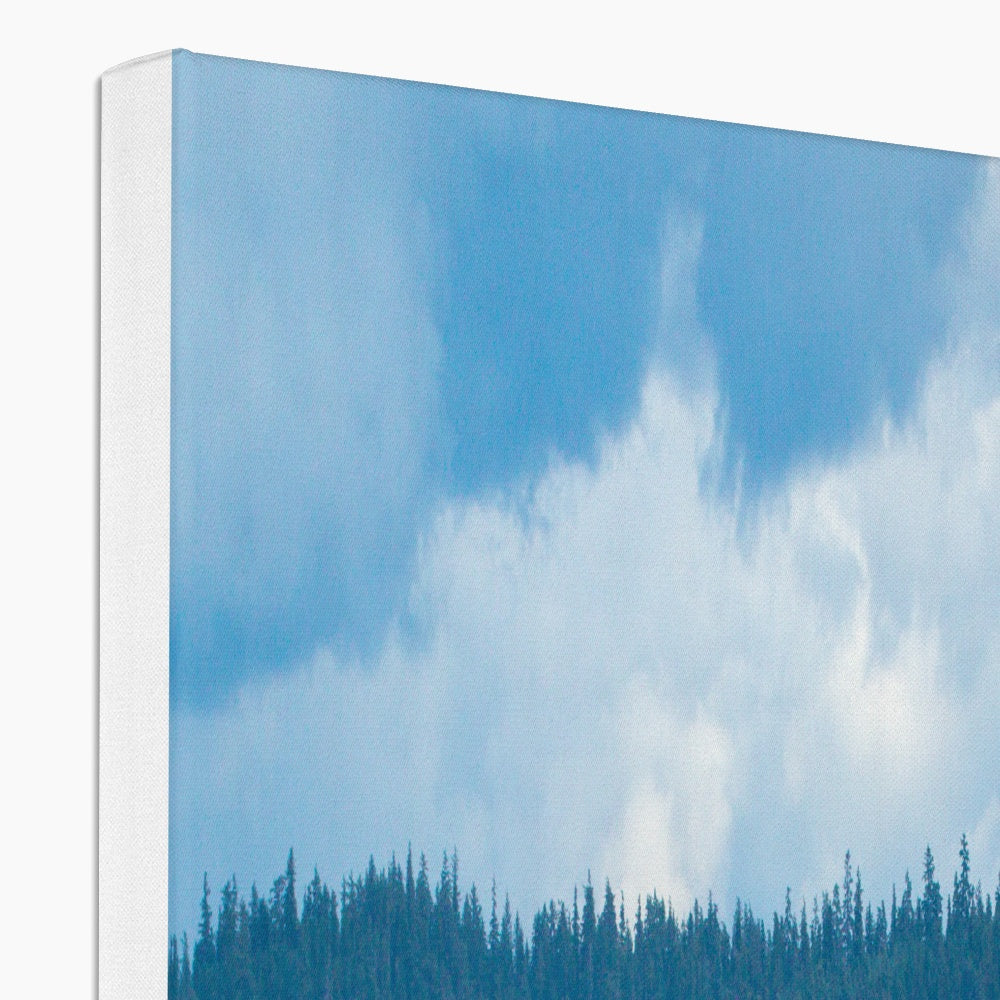 Humpback whales bubblenet feeding XVIII - Canvas