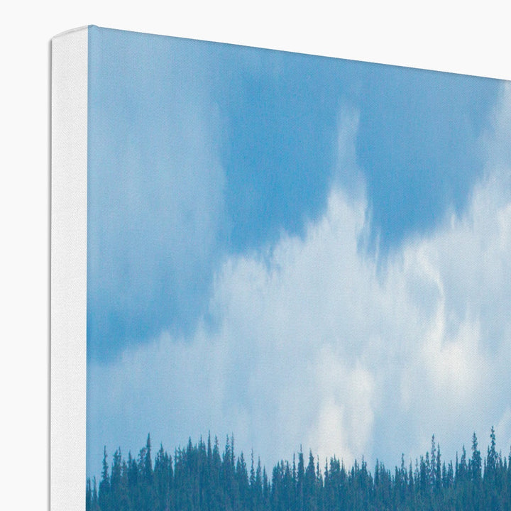 Humpback whales bubblenet feeding XVIII - Canvas