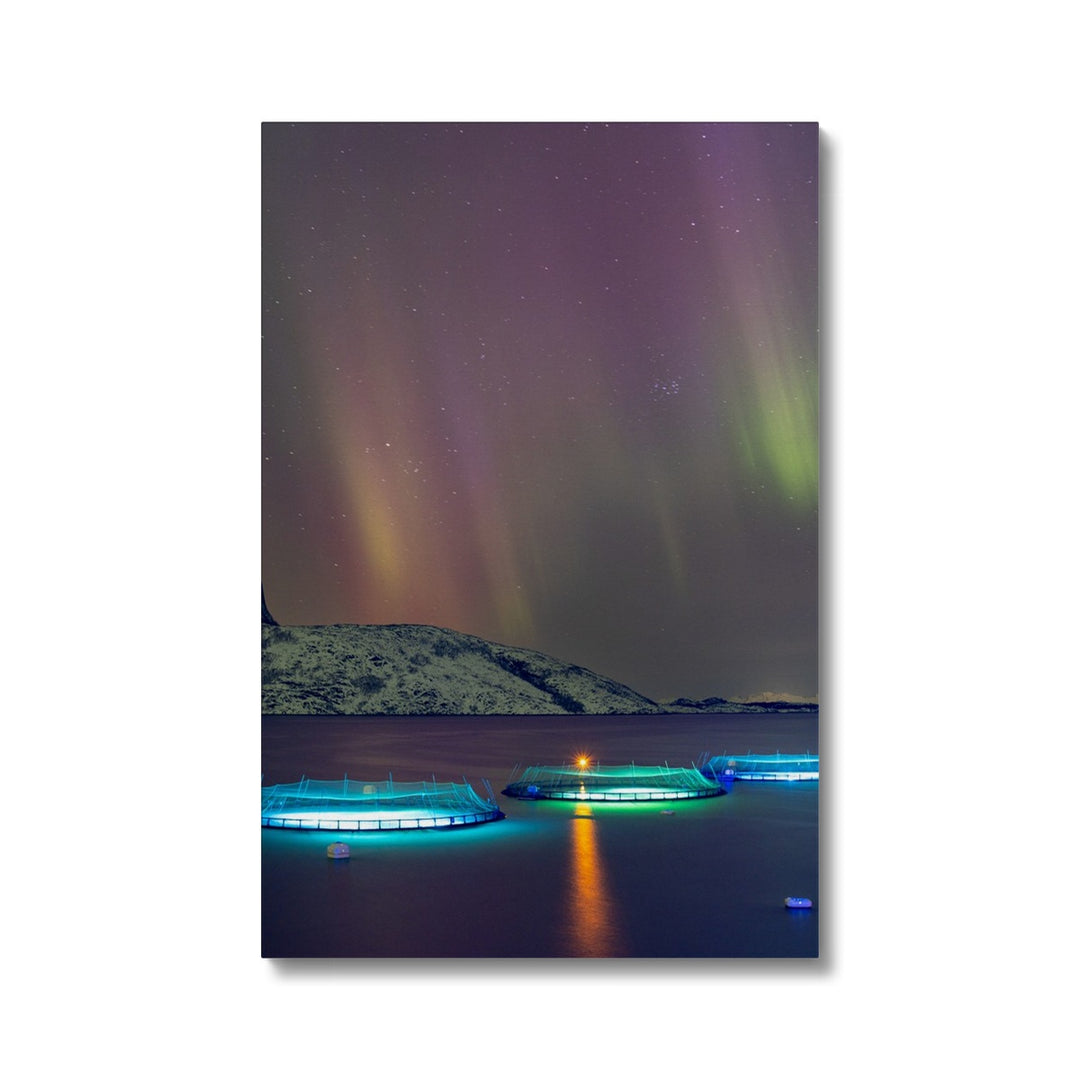 Fish pens with aurora II - Canvas