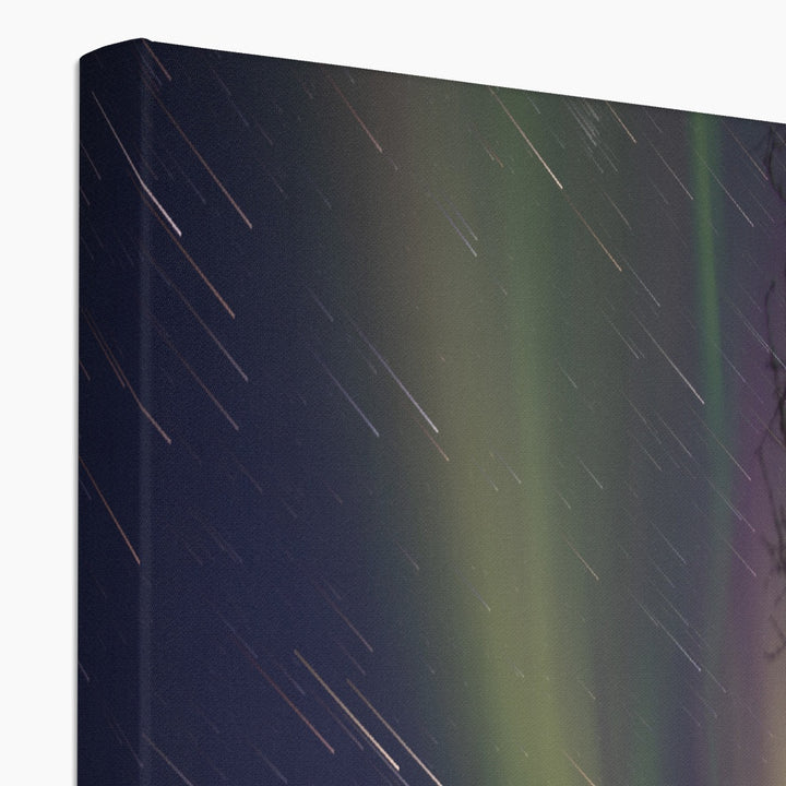 Star trails with aurora above the fish pens V - Canvas