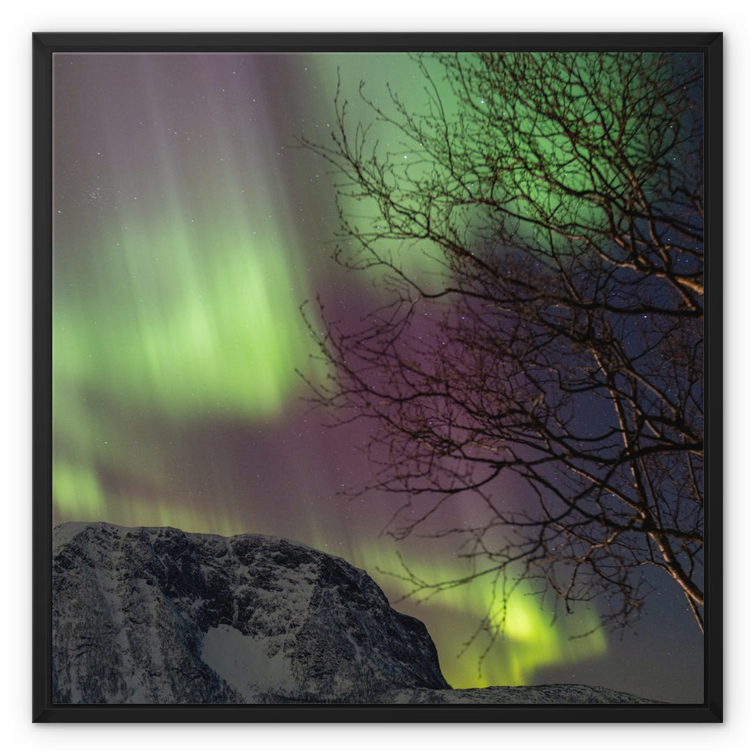 Aurora above Lundøya II - Framed Canvas