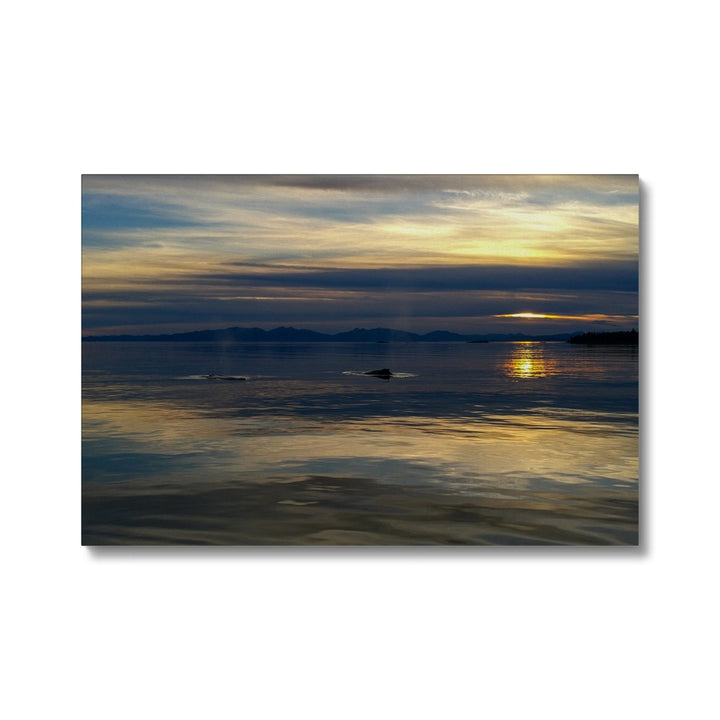 Sunset with whales - Canvas